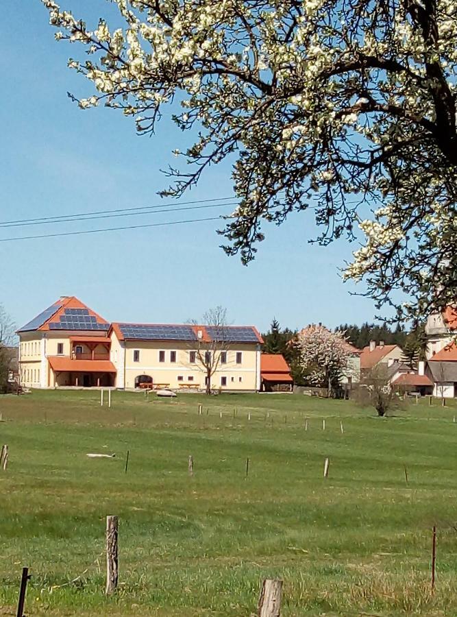 Penzion Hurky Nová Bystřice エクステリア 写真