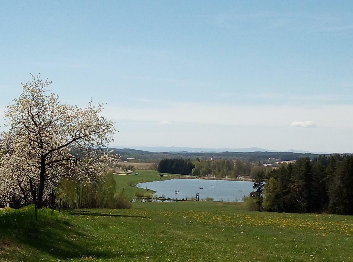 Penzion Hurky Nová Bystřice エクステリア 写真