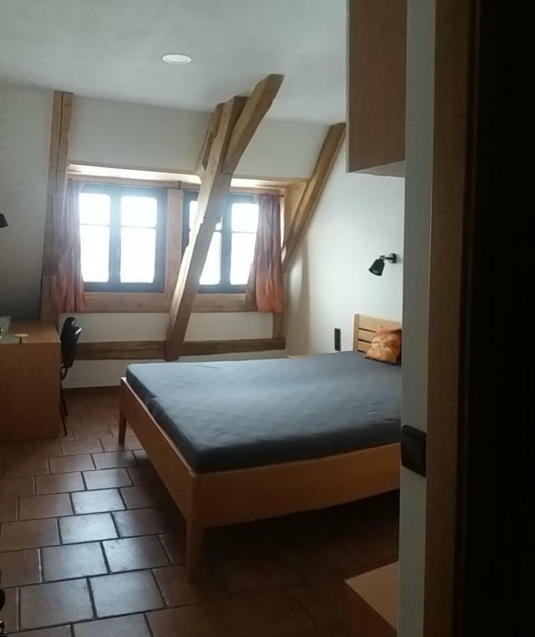 Penzion Hurky Nová Bystřice エクステリア 写真